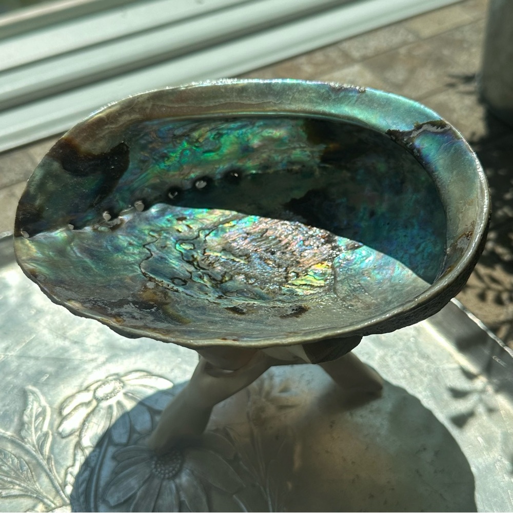 Elegant Abalone Shell Art Piece with collapsible stand ring holder trinket dish - Picture 10 of 15